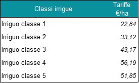IRR6