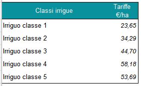 IRR7