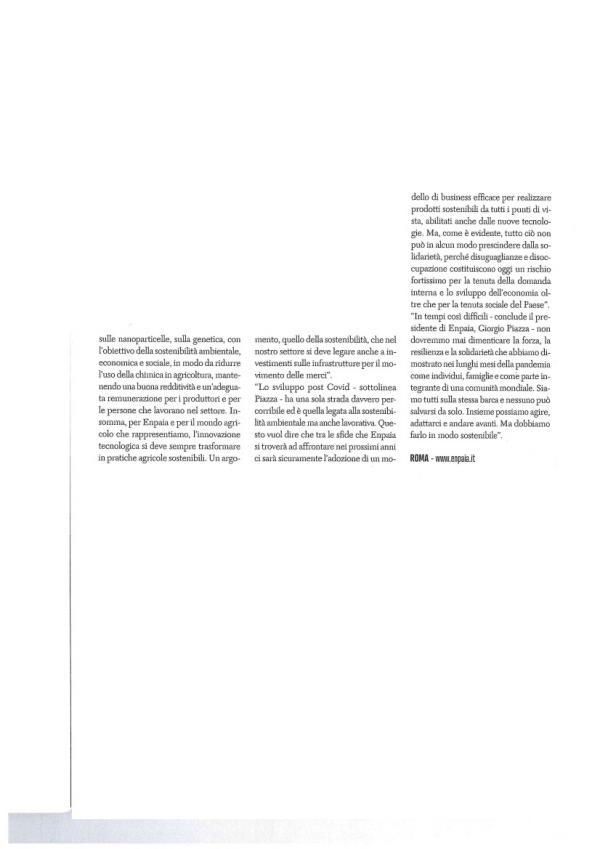Piazza3