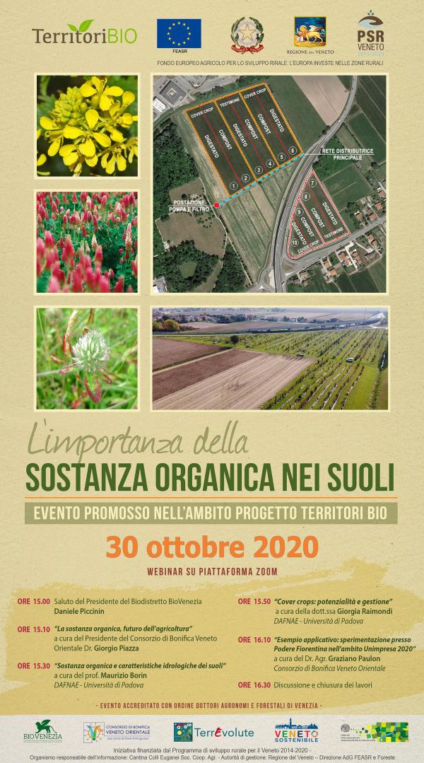WEBINAR SOSTANZA ORGANICA 31.10.2020