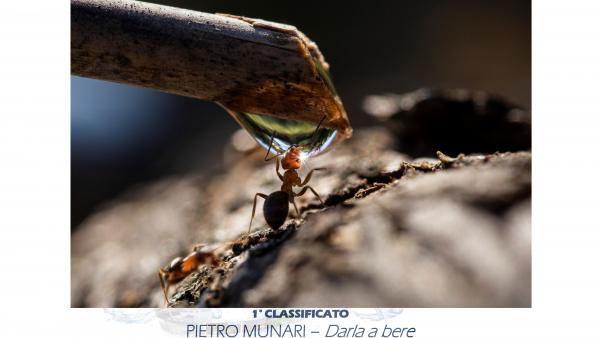 Pietro Munari primo classificato